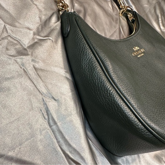 SOLD🌹Coach Teri Hobo • LIMITED EDITION Pebbled Leather WINTER GREEN Shoulder Bag - Picture 12 of 15